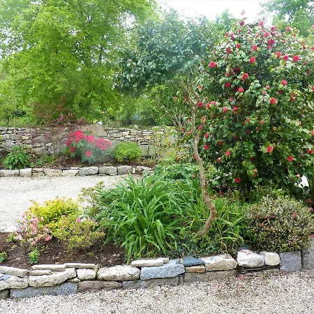 Charming With Garden